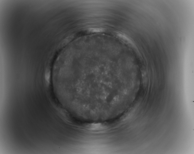X0000089760406200707201946