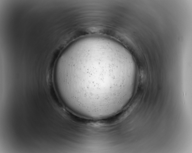 X0000089760408200707201946