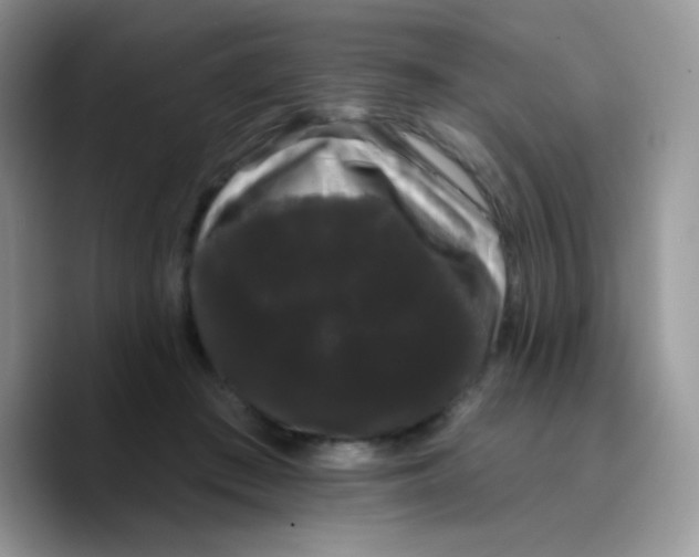 X0000089760409200707201946