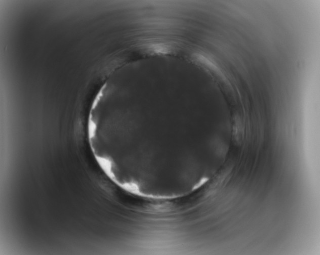 X0000089760410200707201946