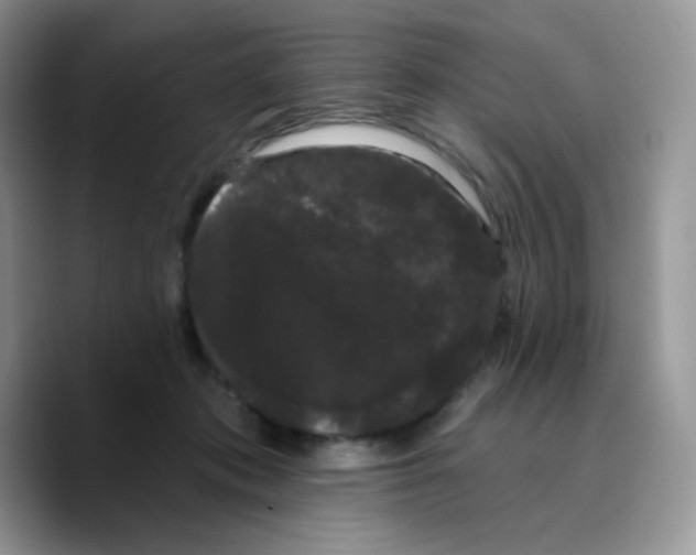 X0000089760413200707201946