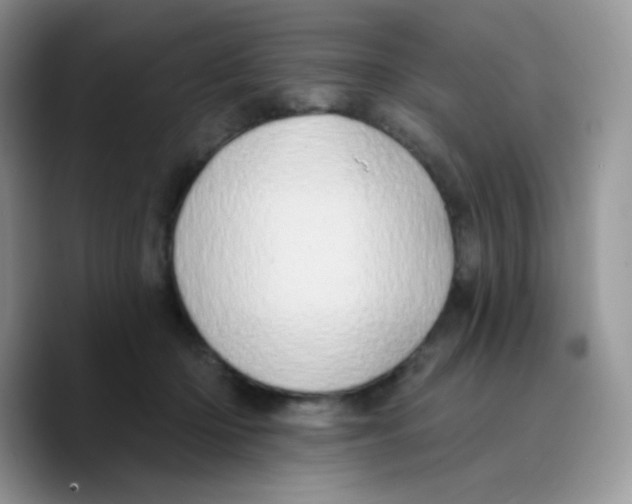 X0000089760414200707201946