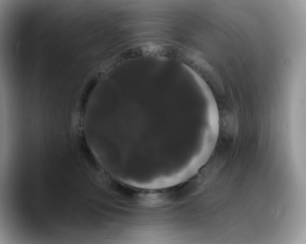 X0000089760419200707201946