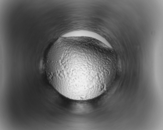 X0000089760420200707201946