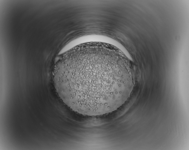 X0000089760421200707201946