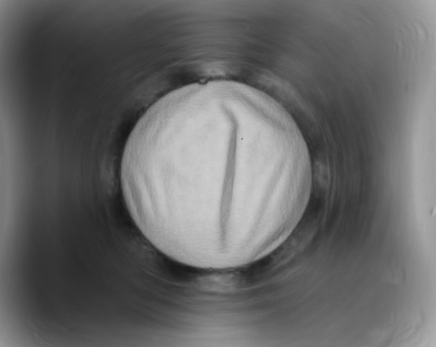 X0000089760422200707201946