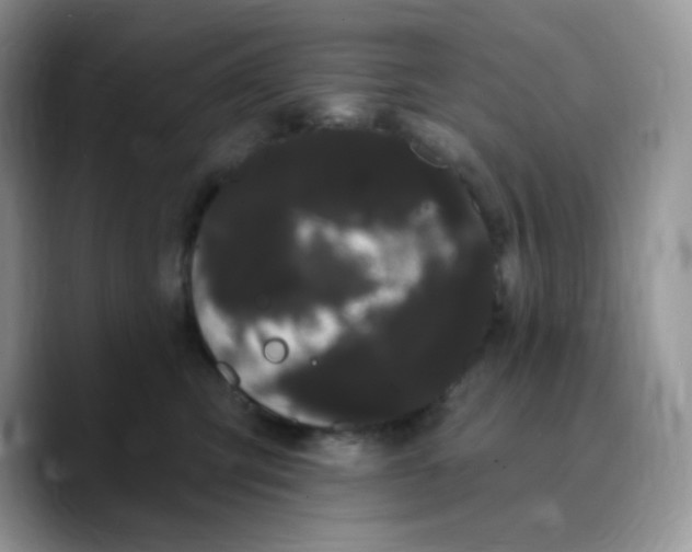 X0000089760423200707201946