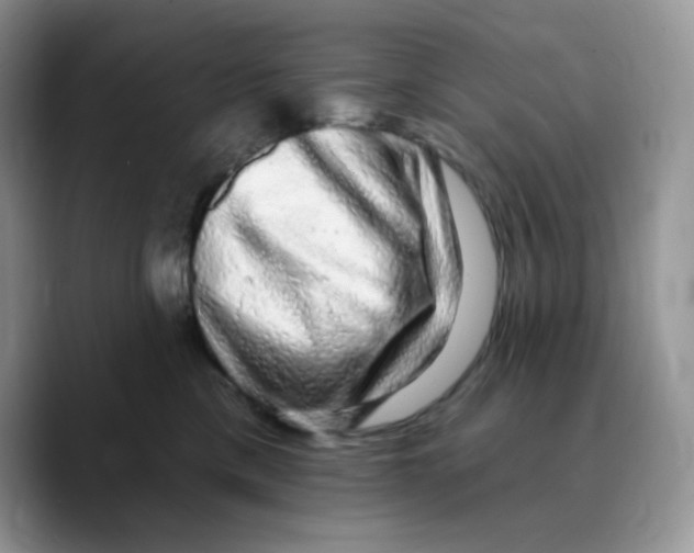 X0000089760425200707201946