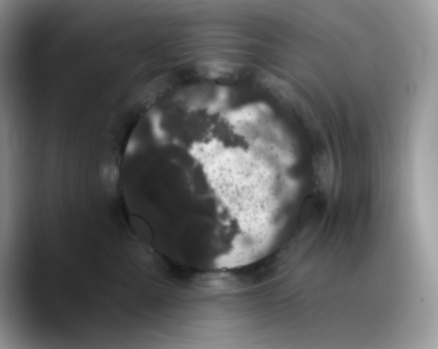 X0000089760427200707201946