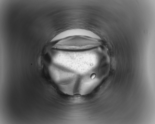 X0000089760428200707201946