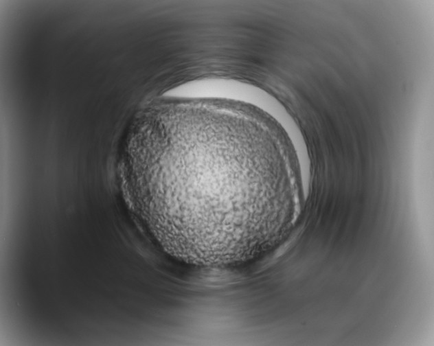 X0000089760429200707201946