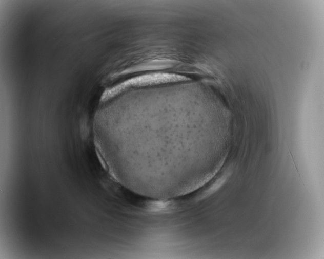 X0000089760432200707201946