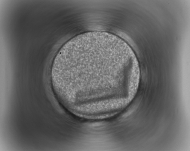 X0000089760433200707201945
