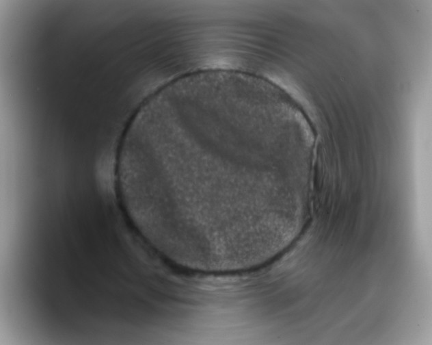 X0000089760434200707201945
