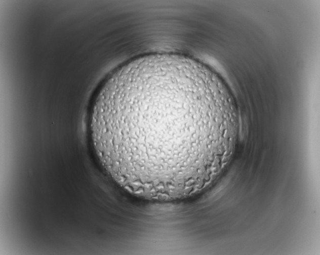 X0000089760435200707201945