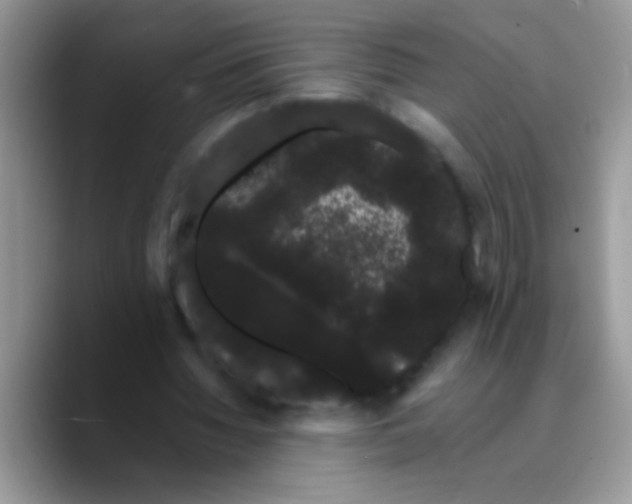 X0000089760436200707201945
