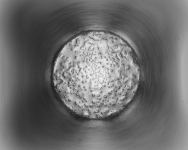 X0000089760437200707201945