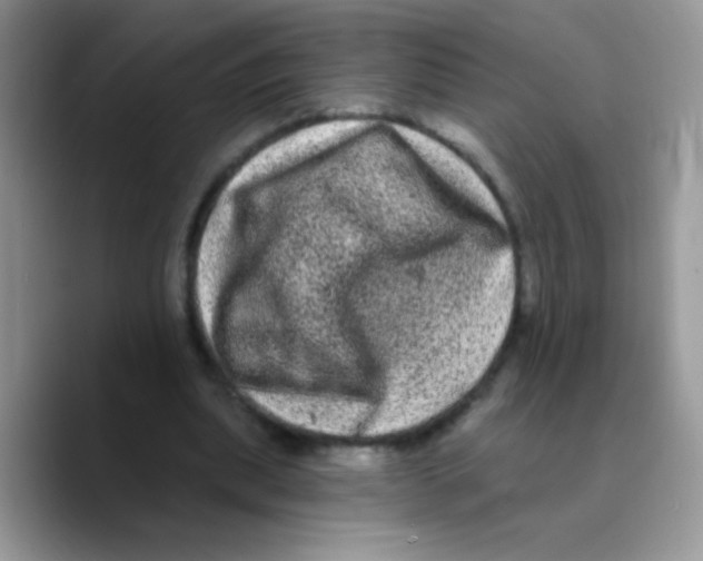 X0000089760439200707201945