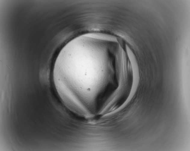 X0000089760440200707201945