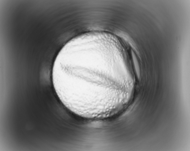 X0000089760441200707201945