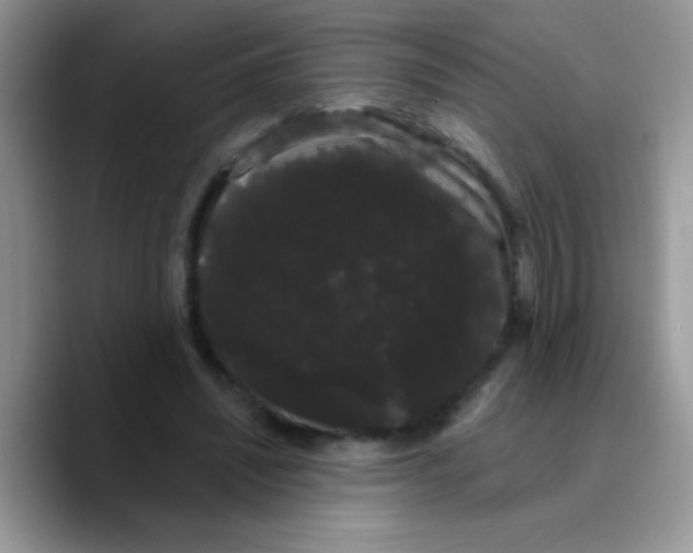 X0000089760444200707201945