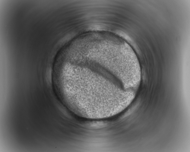 X0000089760445200707201945