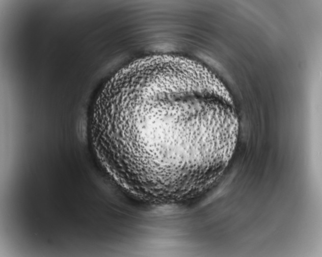 X0000089760446200707201945