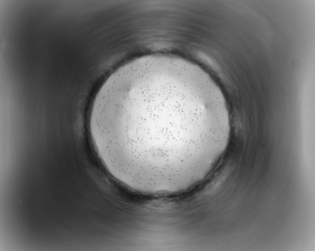X0000089760447200707201945