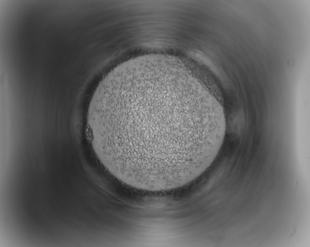X0000089760448200707201946