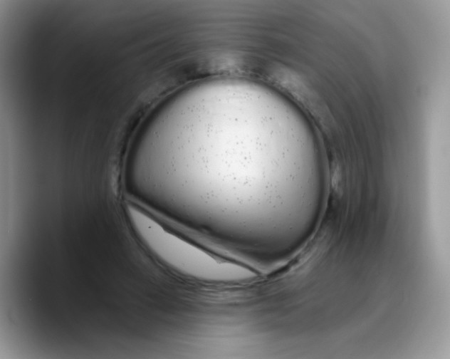 X0000089760449200707201946