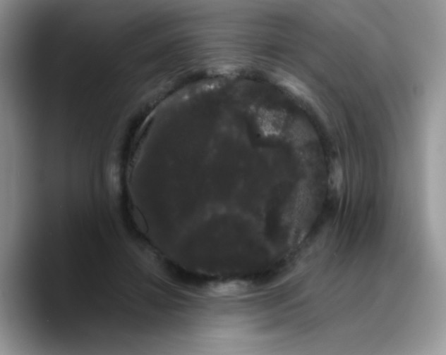 X0000089760452200707201946