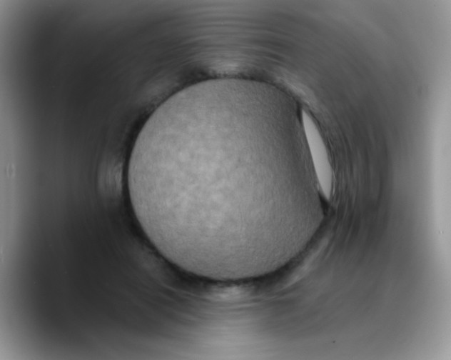 X0000089760454200707201946