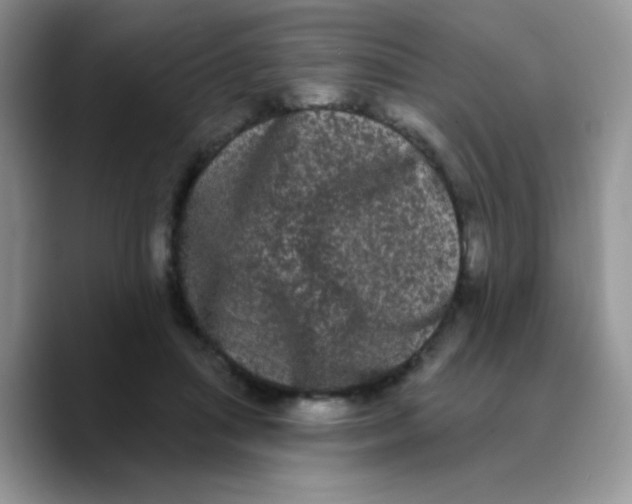 X0000089760455200707201946