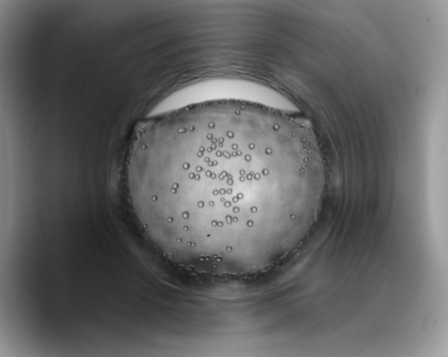 X0000089760456200707201946