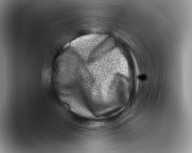 X0000089760458200707201946
