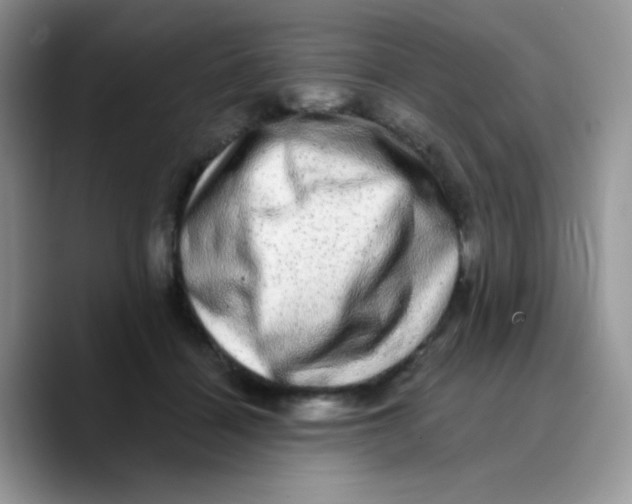 X0000089760460200707201946