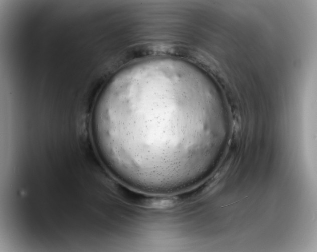 X0000089760462200707201946