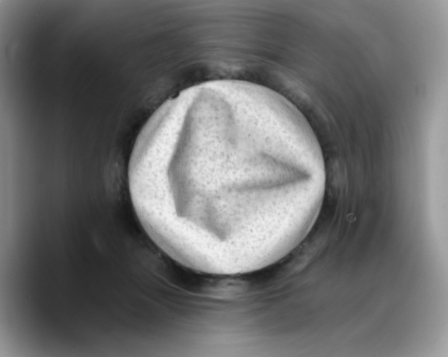 X0000089760463200707201946