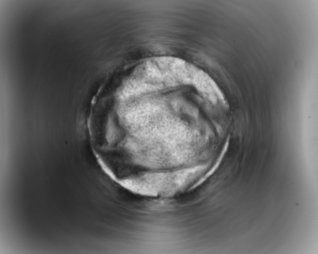 X0000089760465200707201946