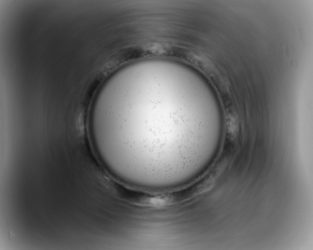 X0000089760466200707201946