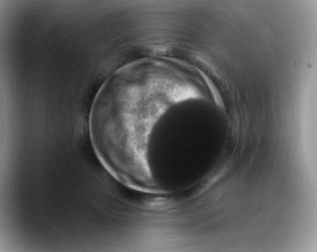 X0000089760467200707201946
