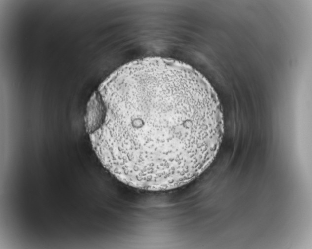 X0000089760468200707201946