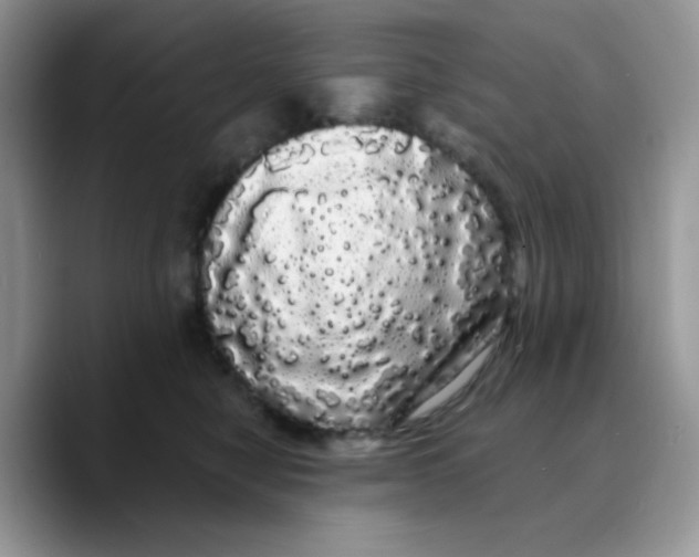 X0000089760470200707201946