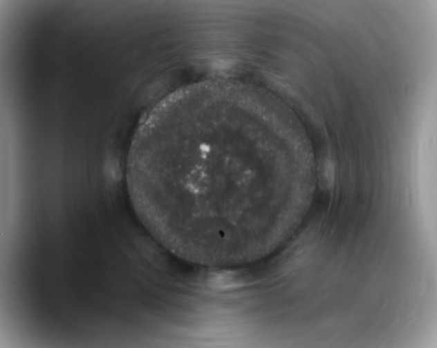 X0000089760472200707201946