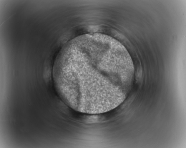 X0000089760473200707201946