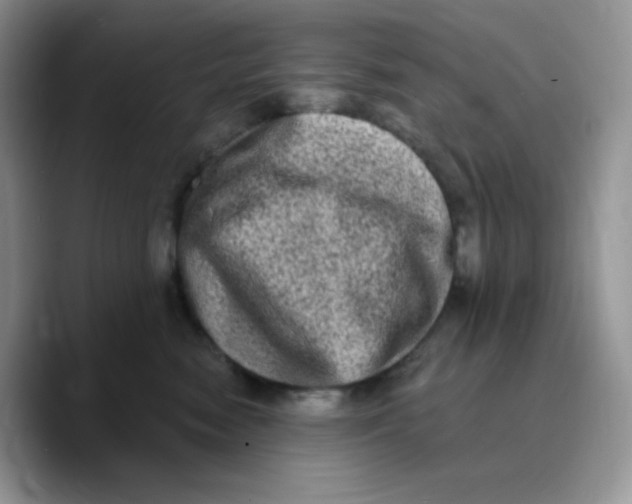 X0000089760474200707201946
