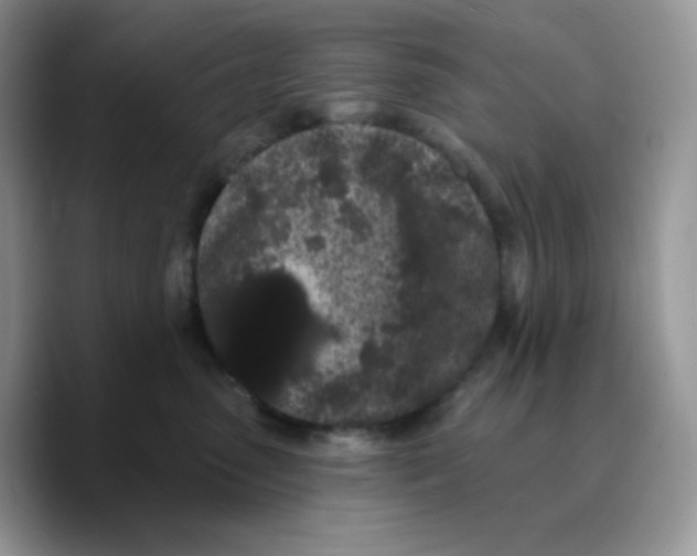 X0000089760475200707201946