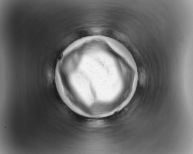 X0000089760476200707201946