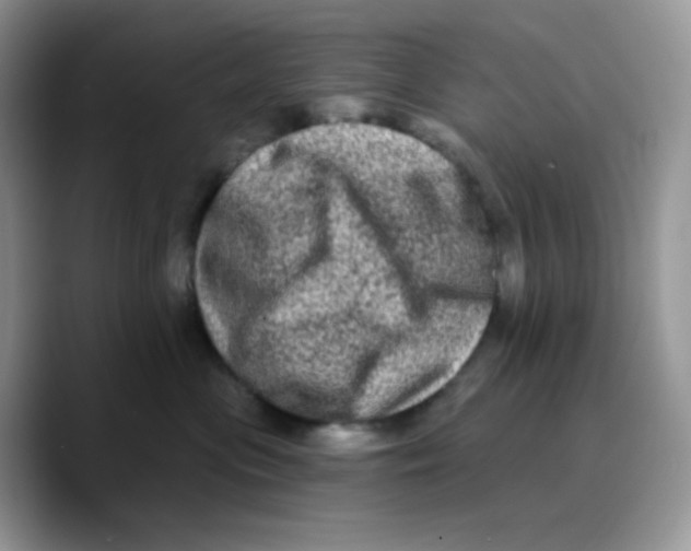 X0000089760477200707201946