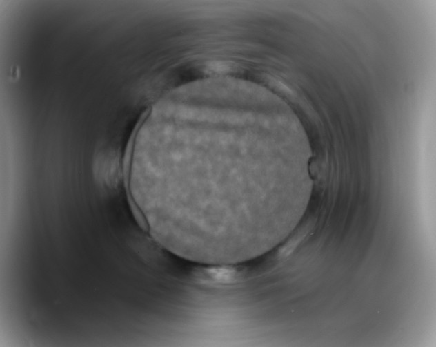 X0000089760478200707201946